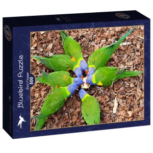 Bird Flower - 500 pz - Bluebird F-90876 - Box