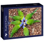Bird Flower – 500 pz – Bluebird F-90876 - immagine 1