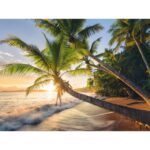 Puzzle Stefan Hefele: Strandgeheimnis – 1500 pz – Ravensburger 15015 - immagine 2