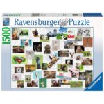 Puzzle: Collage di animali divertenti – 1500 pz – Ravensburger 16711 - immagine 1