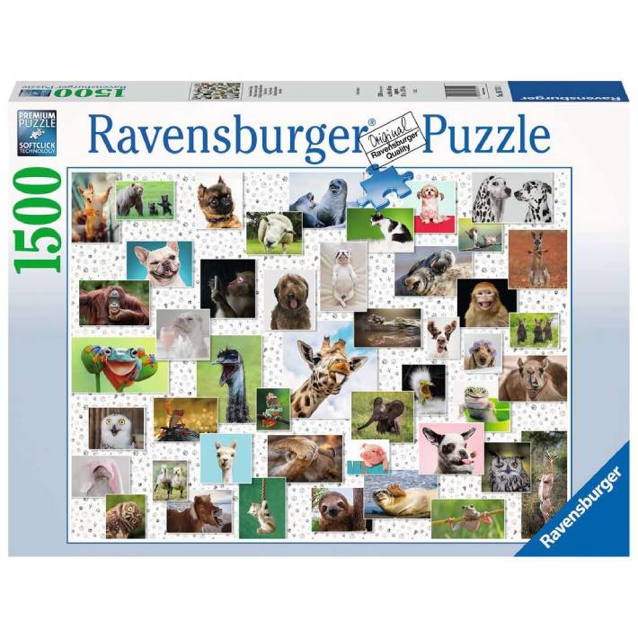 Puzzle: Collage di animali divertenti – 1500 pz – Ravensburger 16711 - immagine 1