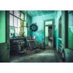 The Madhouse – Lost Places – 1000 pz – Ravensburger 17098 - immagine 2