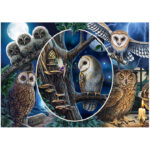 Puzzle Lisa Parker – Gufi misteriosi – 1000 pz – Schmidt 59667 - immagine 2