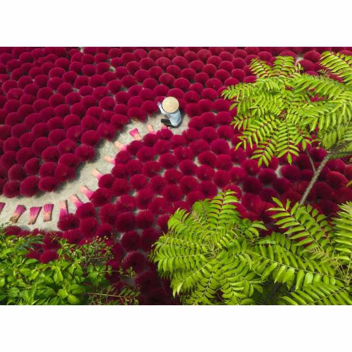 Puzzle Un mare rosso – 500 pz – Ravenburger 12001707 - immagine 2