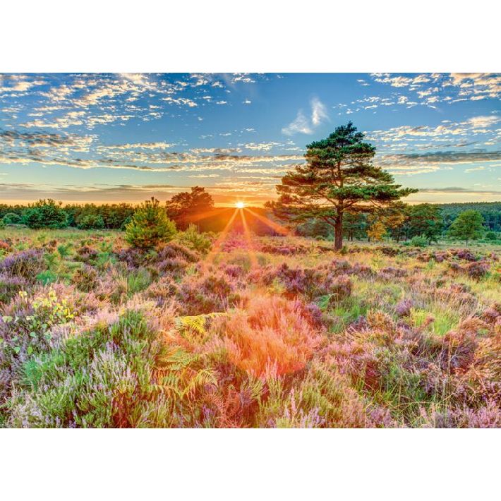 Puzzle Tramonto sulla brughiera – 1000 pz – Schmidt 59768 - immagine 2