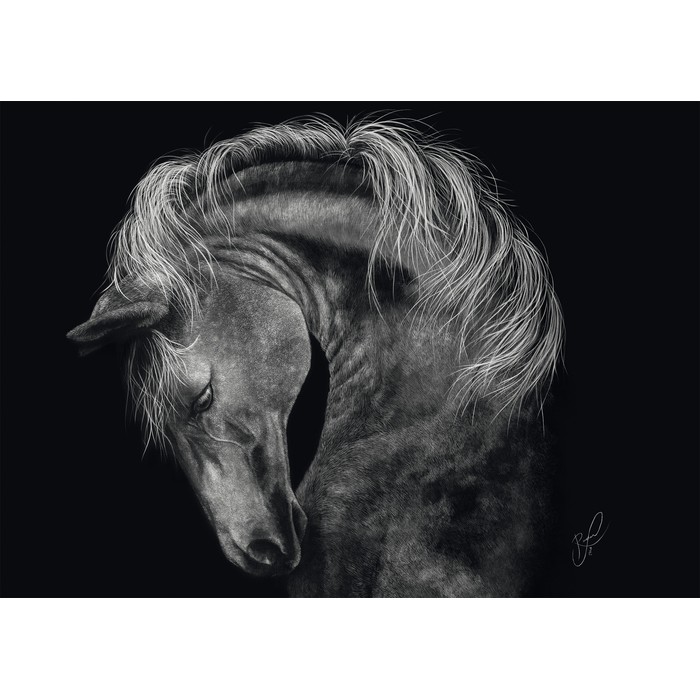 Puzzle Power – Cavallo nel segno della forza – 1000 pz – Schmidt 58543 - immagine 2
